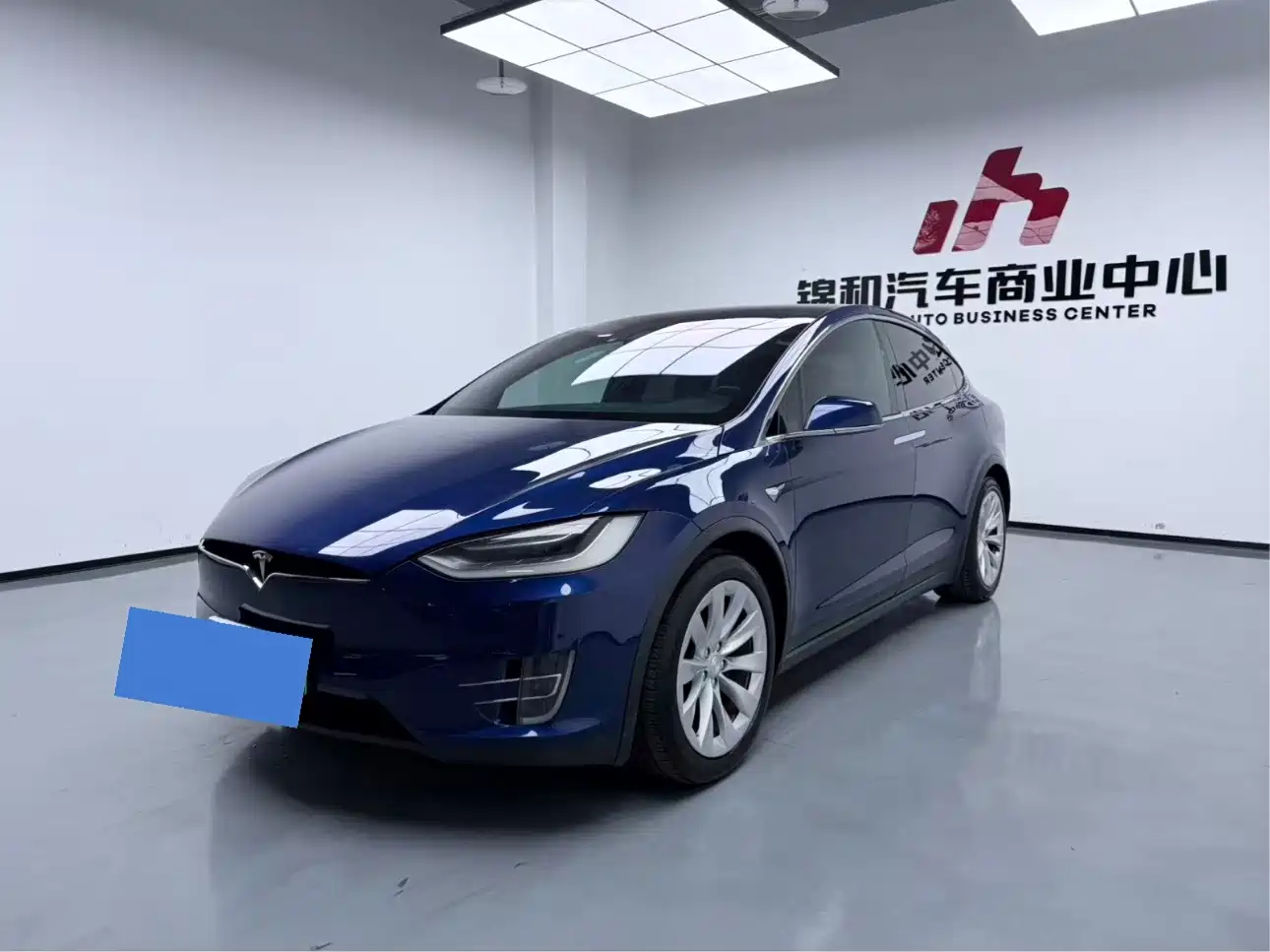 Tesla Model X 2017 2017 Model X 100D Long Range