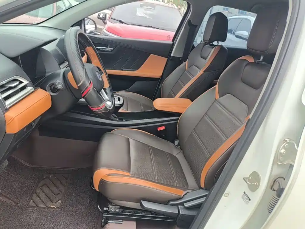 BYD e2 2021 2021 Luxury Edition