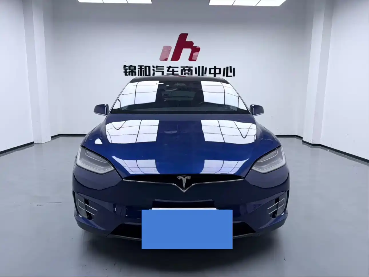 Фото 2 - Tesla Model X