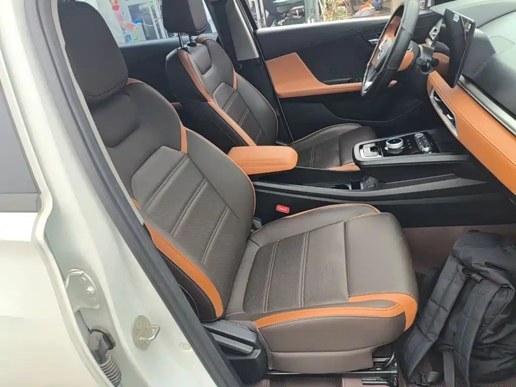 BYD e2 2021 2021 Luxury Edition