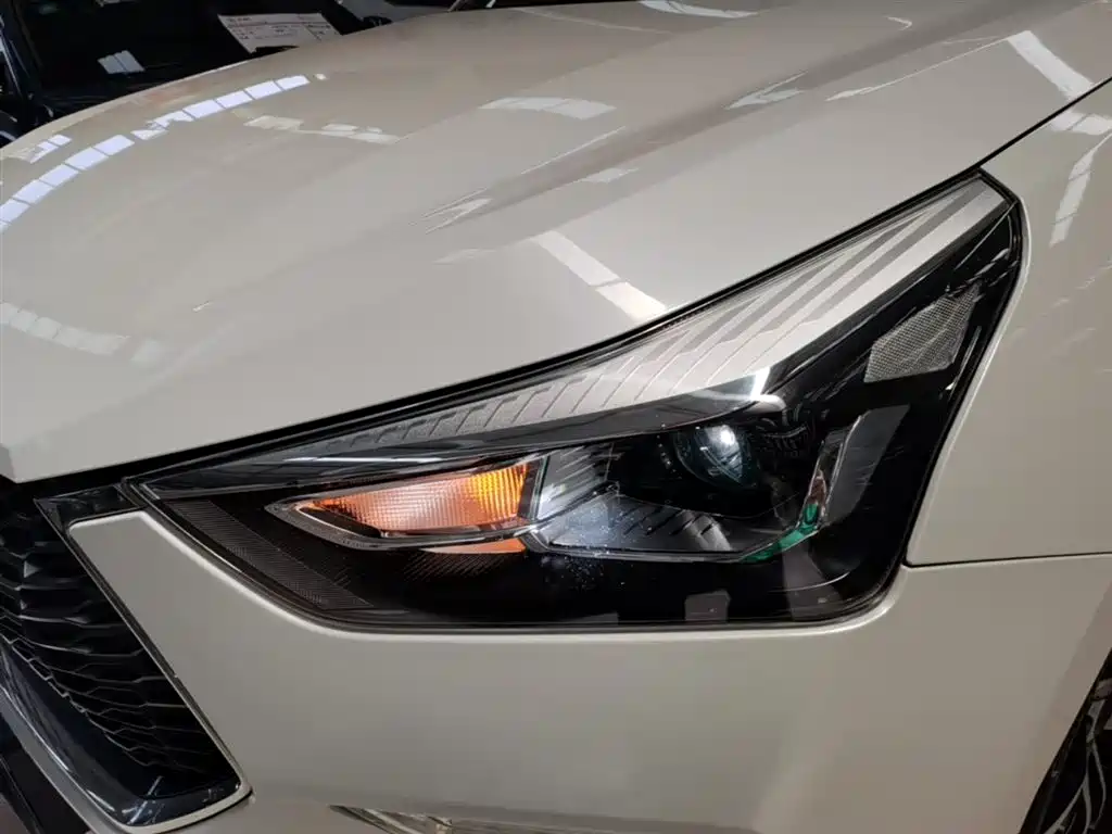 Haval H6 Coupe 2018 Red Label 1.5T Auto 2WD Ultra Luxury фото 24