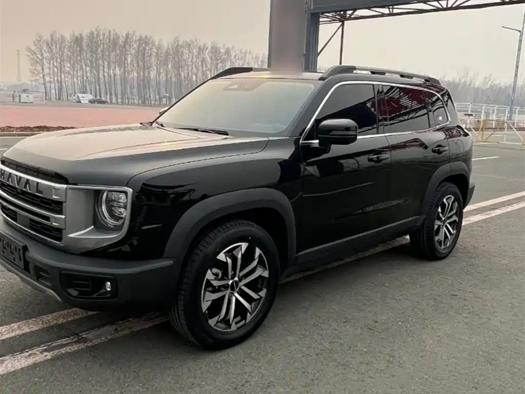 Haval Big Dog 2024 1.5T DCT Border Collie Edition фото 3