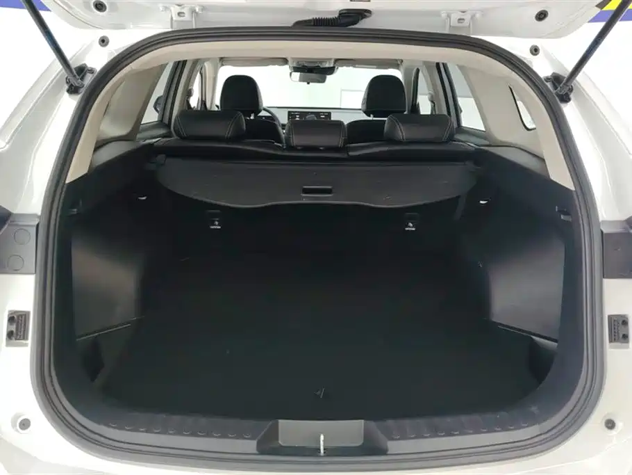 Haval H6 2021 3rd Generation 2.0T Auto 2WD Max фото 4