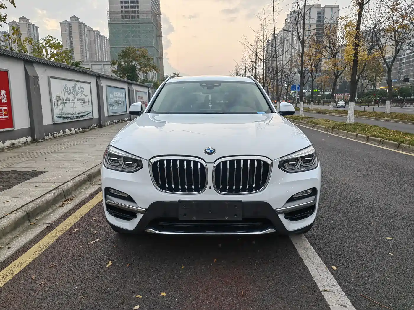 BMW X3 2018 xDrive25i Luxury Package China VI