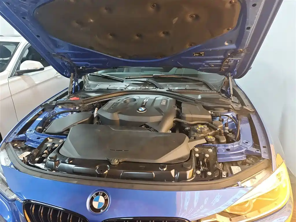 BMW 3 Series 2019 320Li M Sport Package фото 10