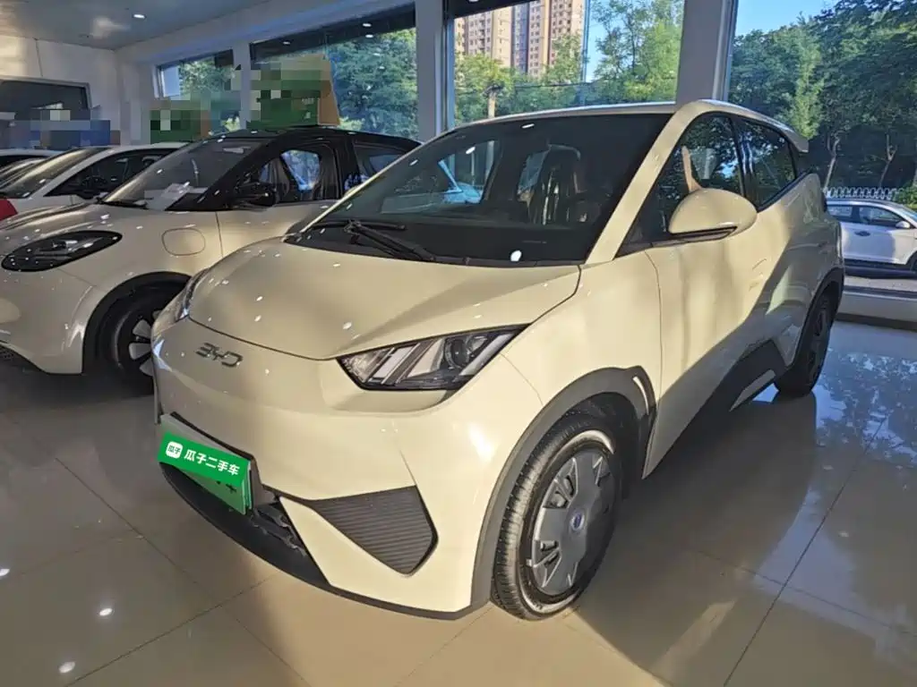 BYD Seagull 2025 Smart Drive Edition 305km Vitality Version