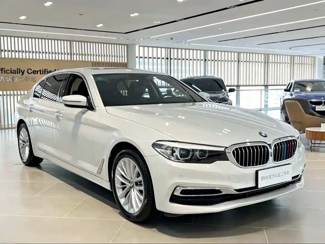 BMW 5 Series 2020 530Li Leading Luxury Package фото 3