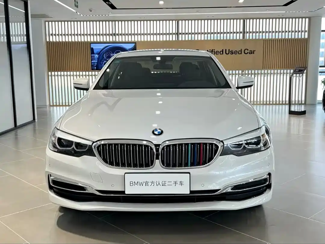 BMW 5 Series 2020 530Li Leading Luxury Package фото 2