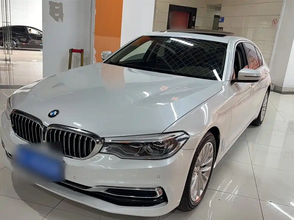 BMW 5 Series 2020 530Li Leading Luxury Package фото 2