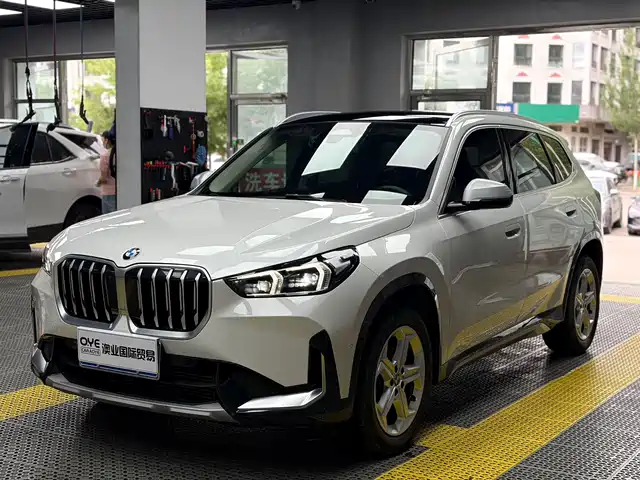 BMW X1 sDrive20Li, X Дизайн-пакет