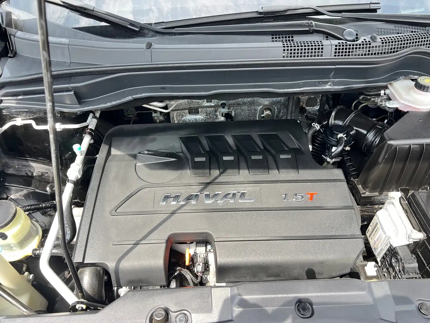 Haval H6 2017 Blue Label Sport 1.5T Auto 2WD Luxury фото 28
