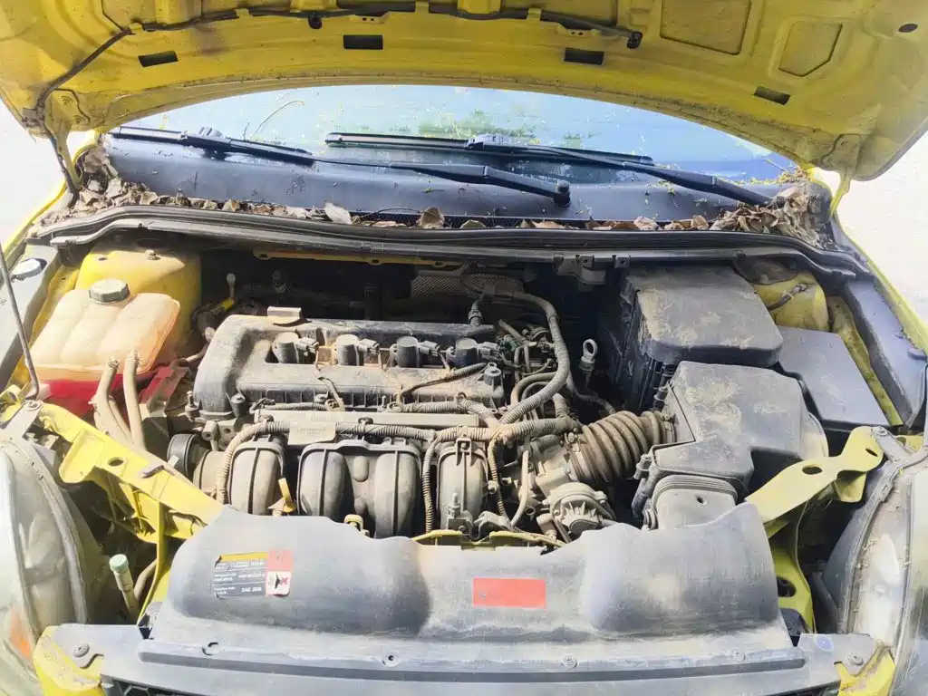 Photo 3 - Ford Focus