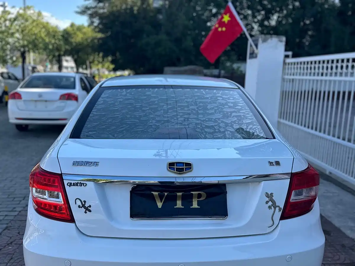 Фото 5 - Geely Vision