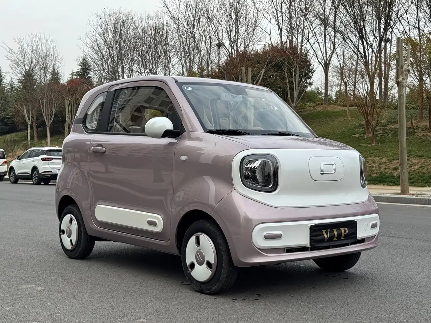 BESTUNE PENTIUM PONY