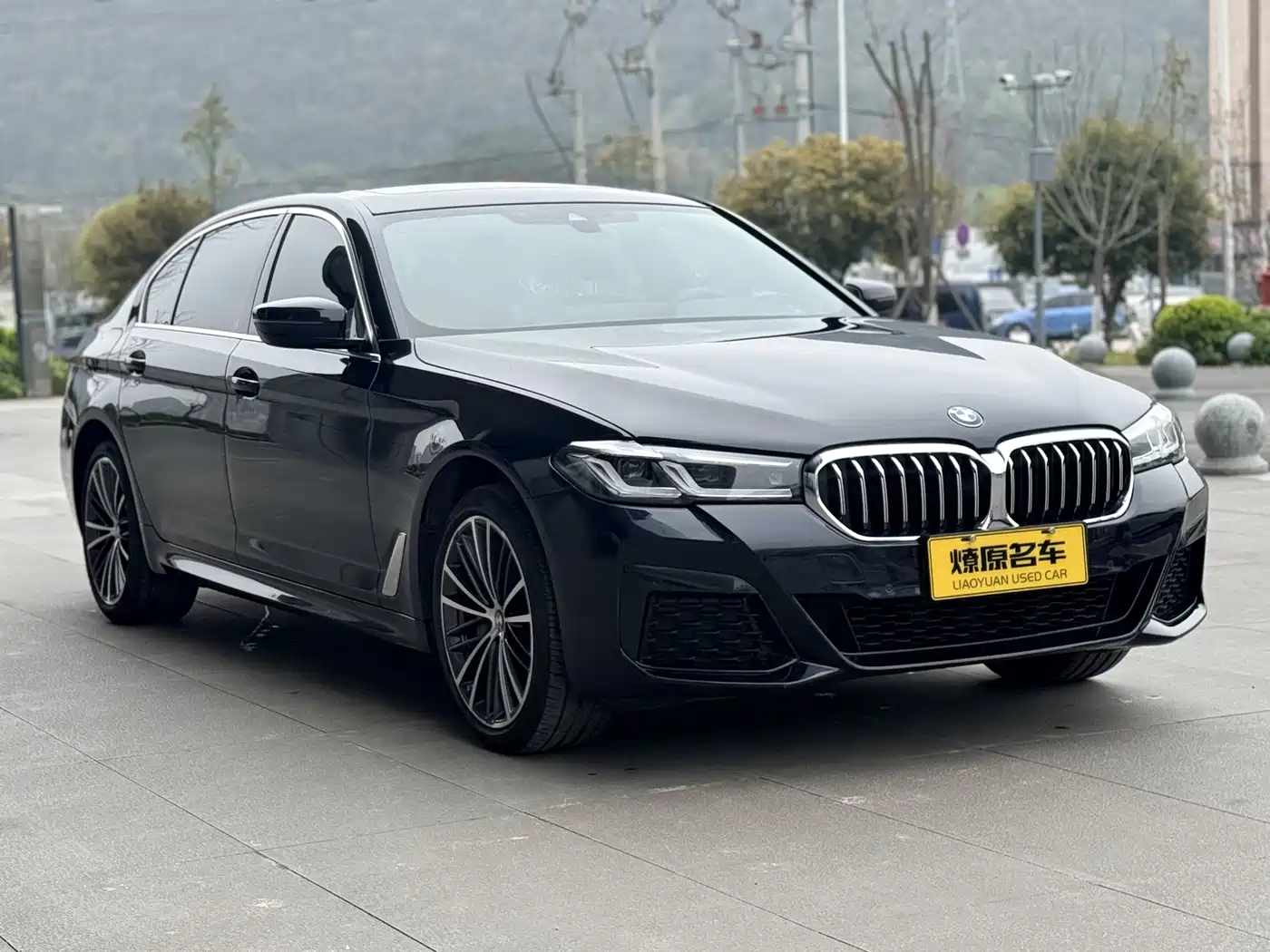 BMW 5 Series 2023 530Li Leading M Sport Package фото 3