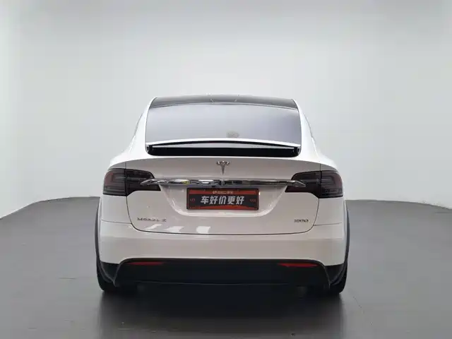 Tesla Model X 2017 Model X 100D Long Range — фото 4