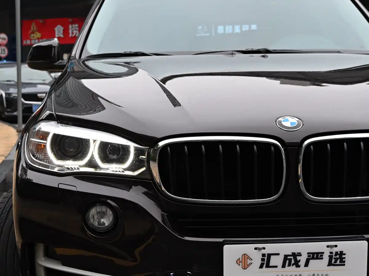 BMW X5 (Import) 2014 xDrive35i Elegance фото 11