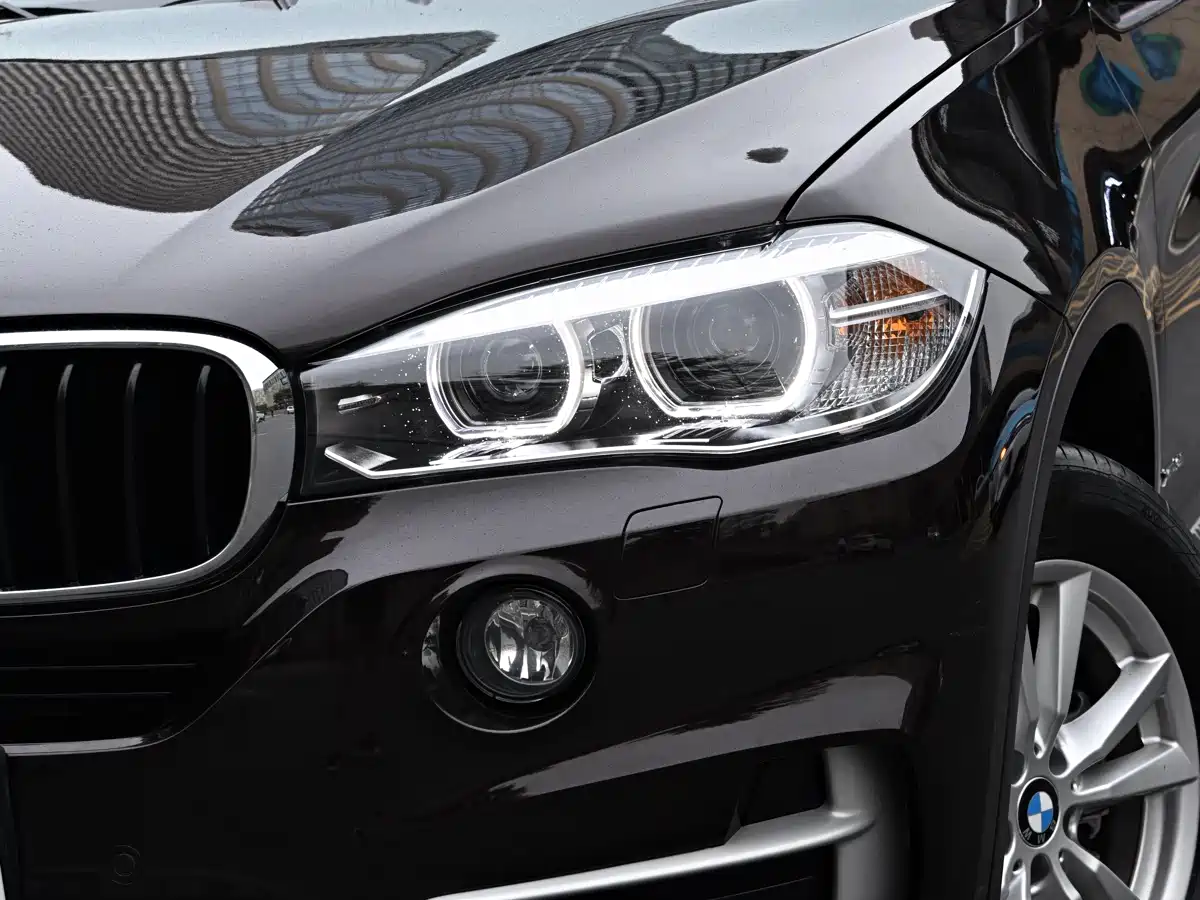 BMW X5 (Import) 2014 xDrive35i Elegance фото 10