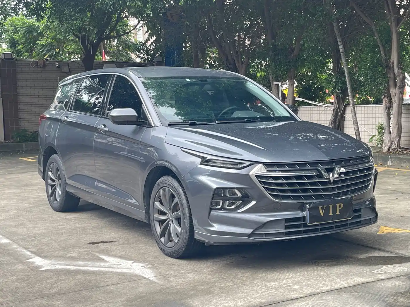 Фото 3 - Wuling Motors Wuling Victory
