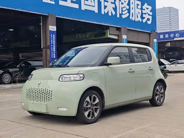  Ora Ora White Cat 2022 Upgraded 305km Luxury (NMC)