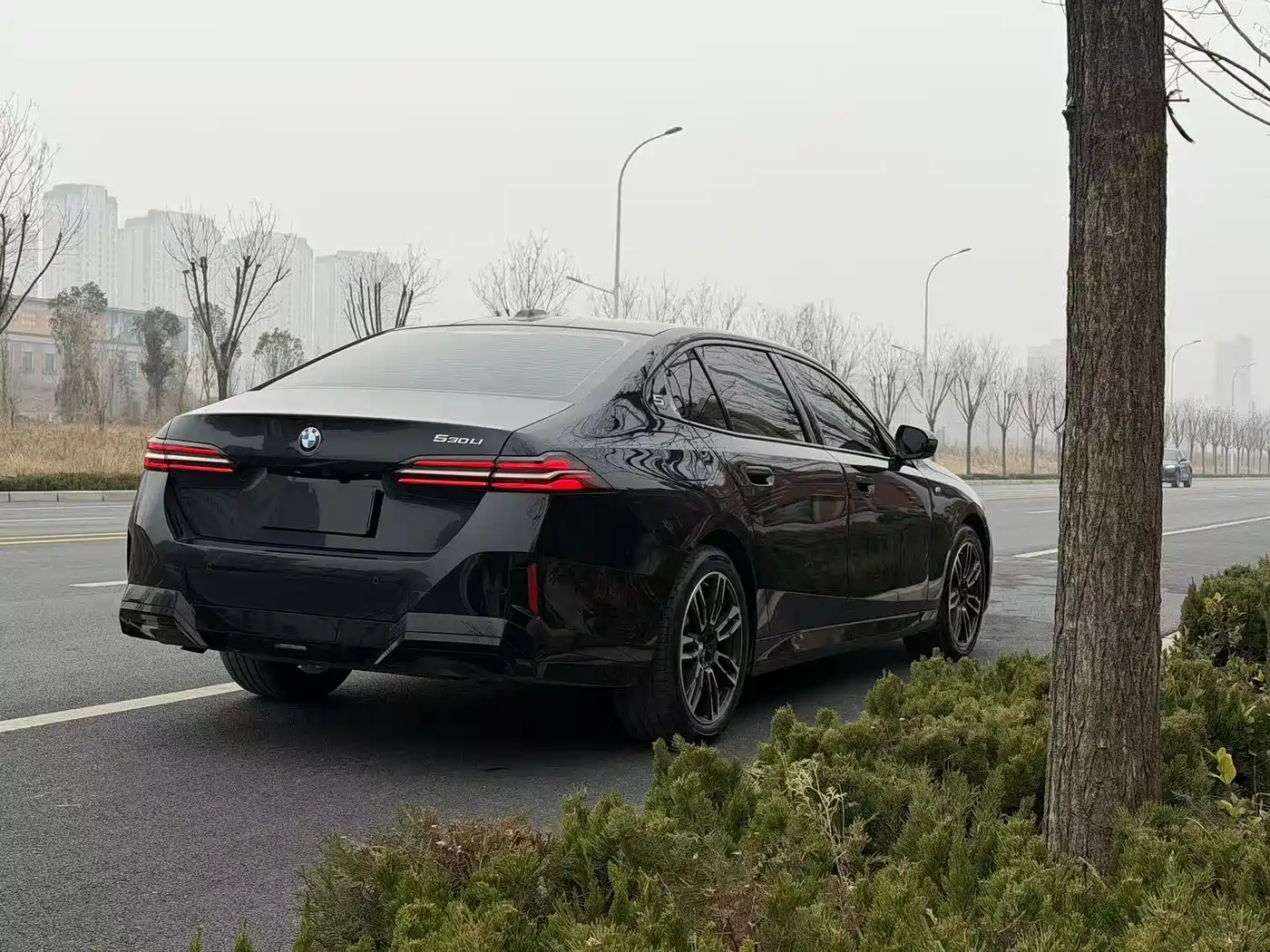 BMW 5 Series 2026 530Li Leading M Sport Package фото 15