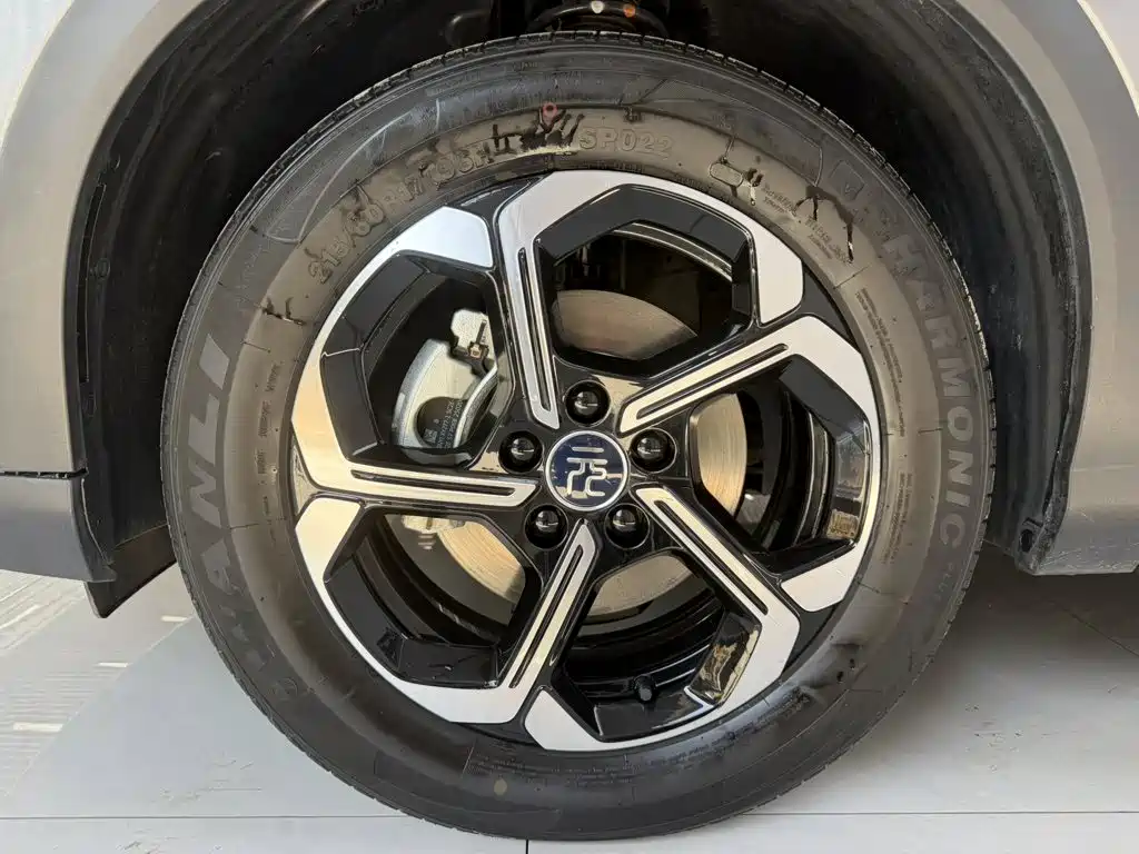 BYD Yuan PLUS 2025 2025 Smart Drive Edition 430KM Leading