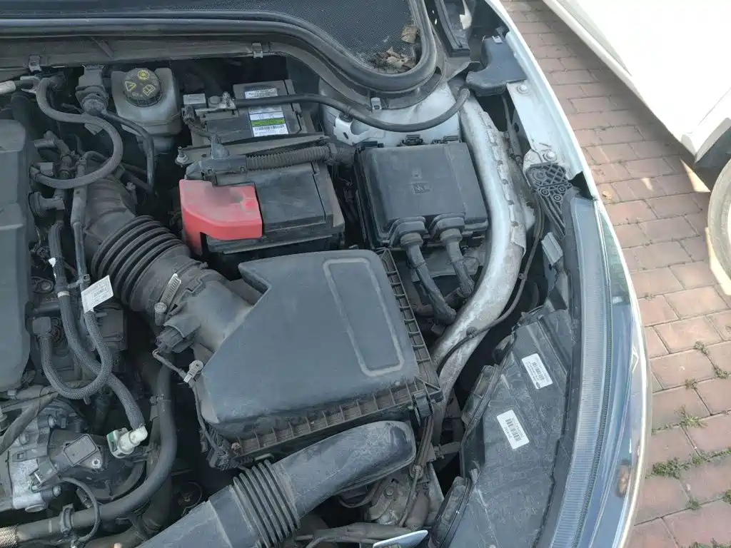 Ford Focus Active 2020 2020 EcoBoost 180 Auto Trendy Edition