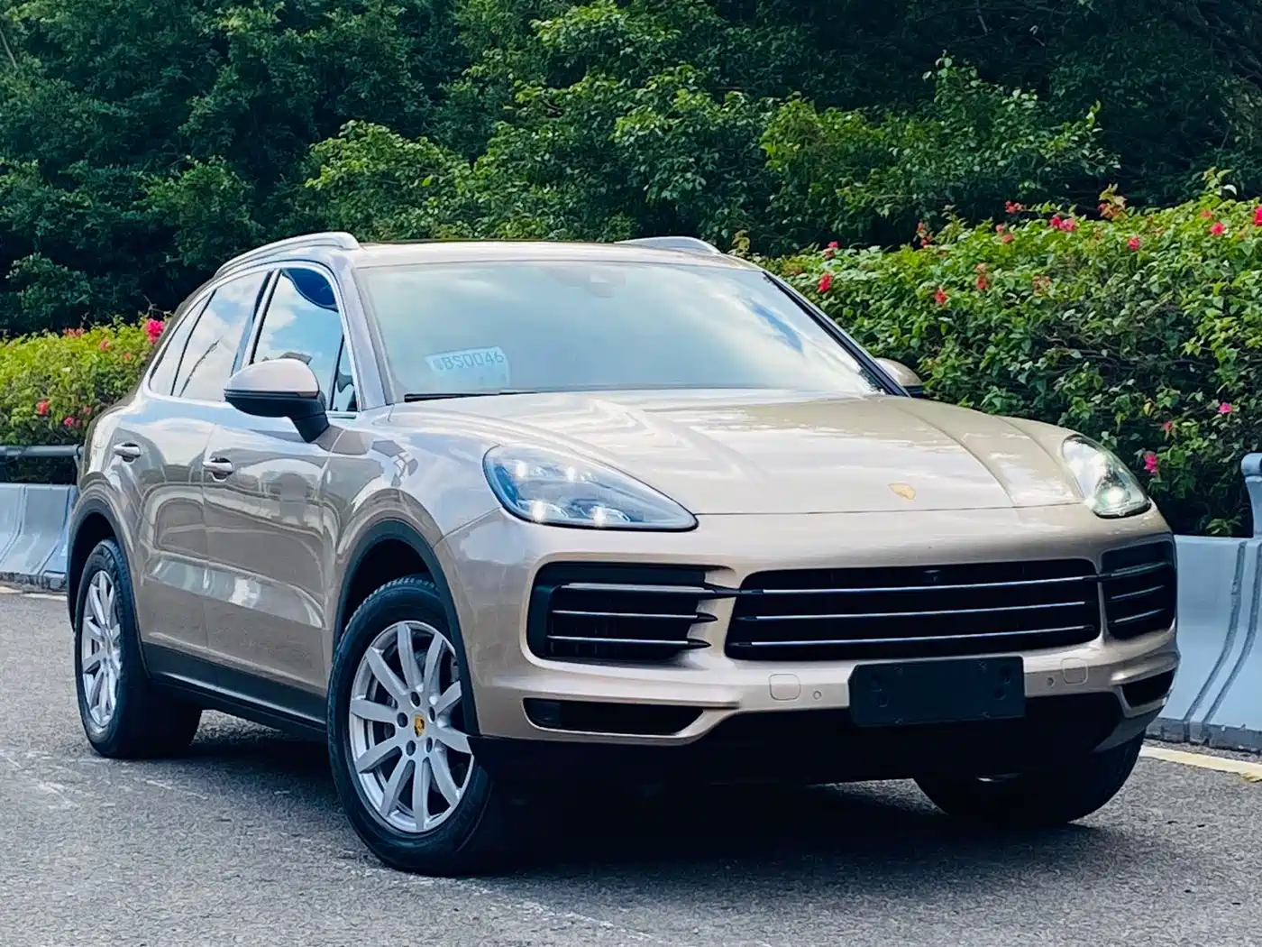 Porsche Cayenne 2018 Cayenne 3.0T фото 4