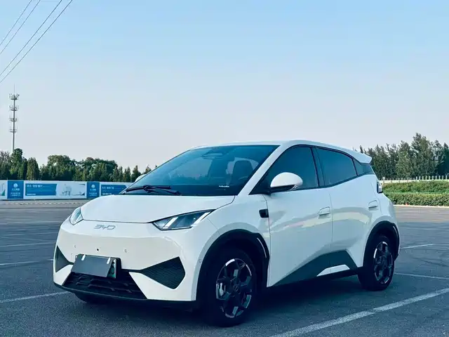 BYD Seagull 2025 Smart Drive Edition 305km Freedom Version