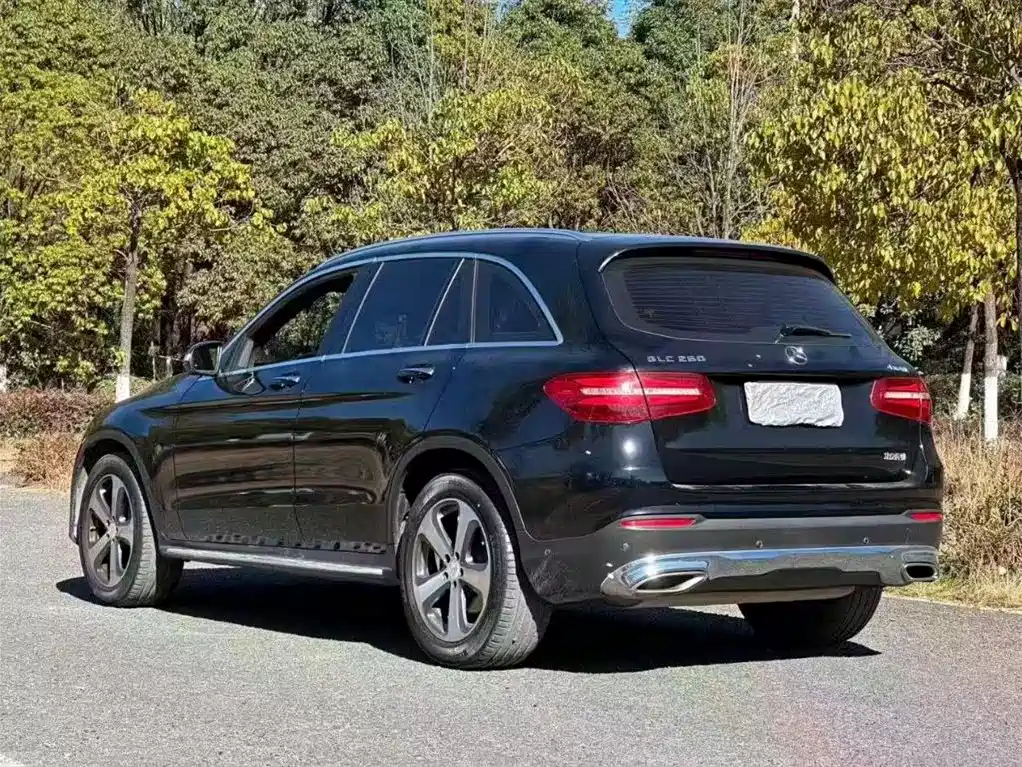 Mercedes-Benz GLC 2016 GLC 260 4MATIC Luxury фото 8