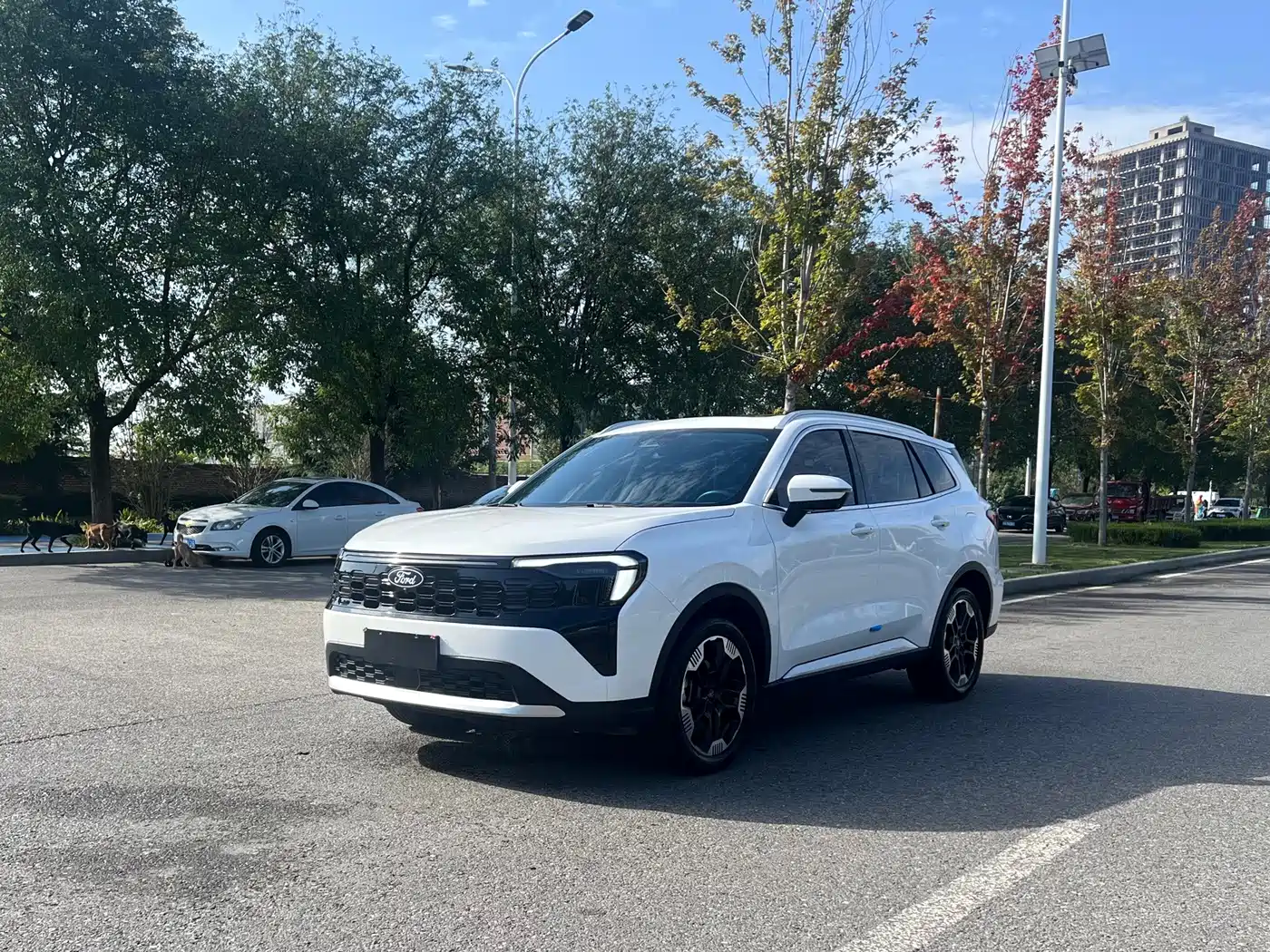 Ford Lingrui 2025 2025 EcoBoost 170 Platinum