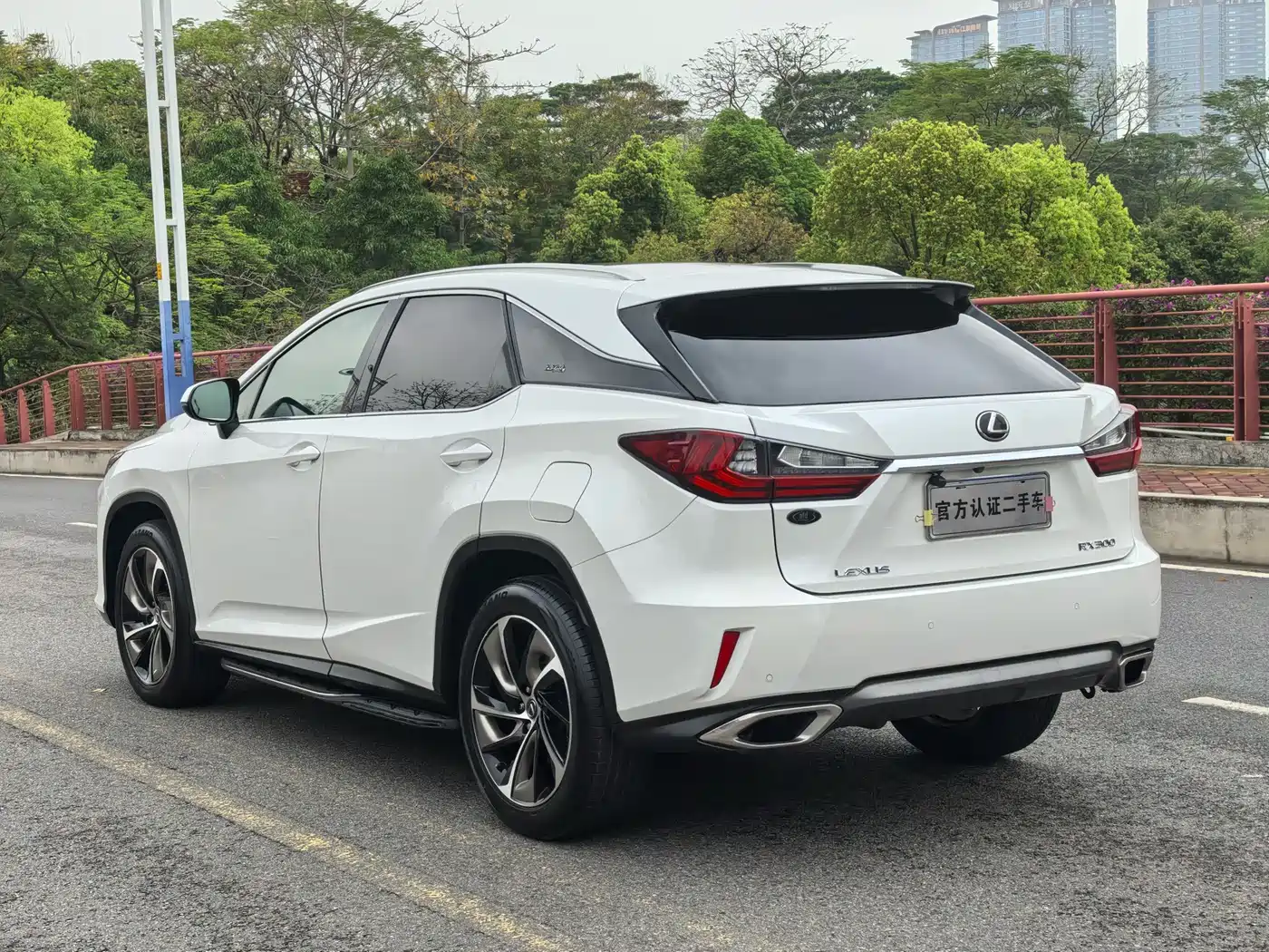 Lexus RX 2016 300 4WD Elegance Edition (China V) фото 8