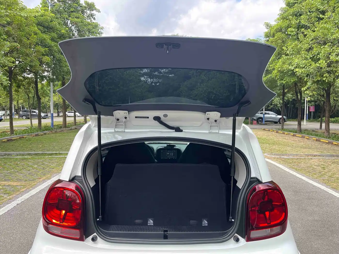 Roewe Clever 2023 2022 311km Vitality Bobo Edition