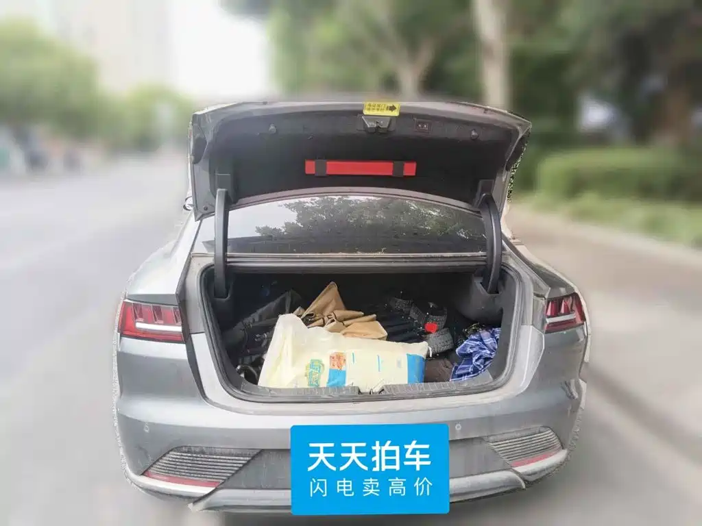 Фото 4 - BYD Han