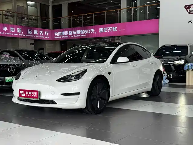 Tesla Model 3 2022 Model Rear-Wheel Drive Version — фото 1
