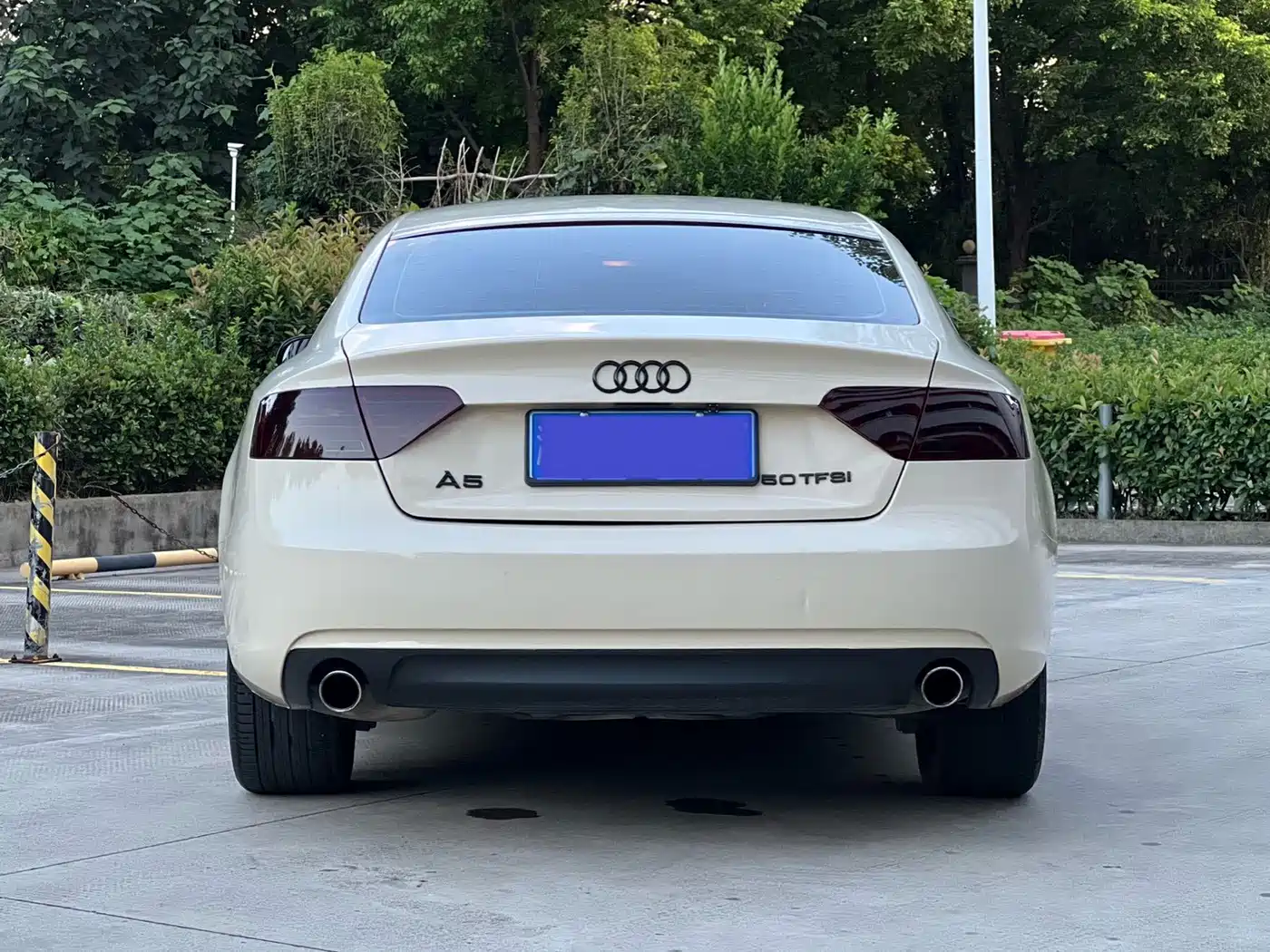 Фото 15 - Audi A5 (Import)
