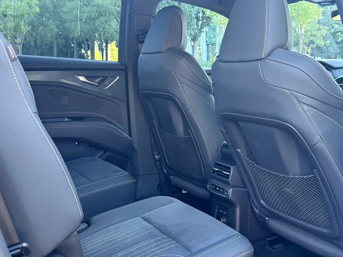 Фото 21 - Audi Q5 e-tron