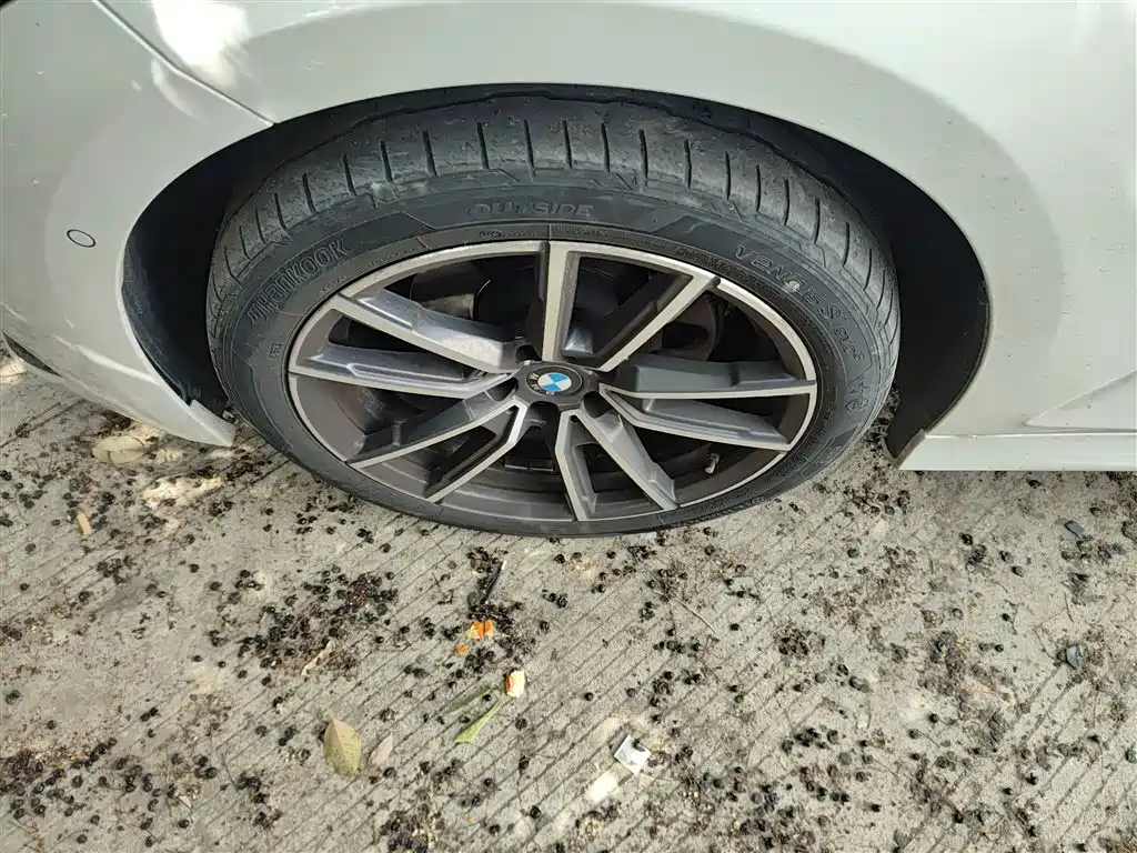BMW 3 Series 2024 325Li M Sport Package фото 23