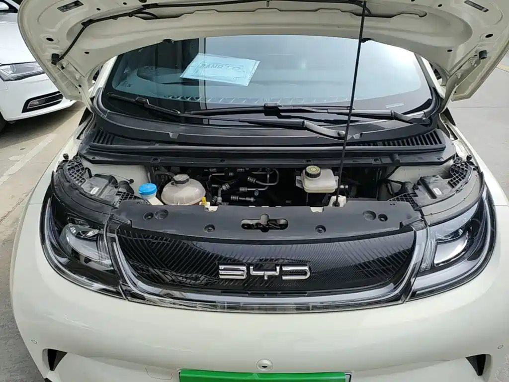 Фото 20 - BYD Dolphin