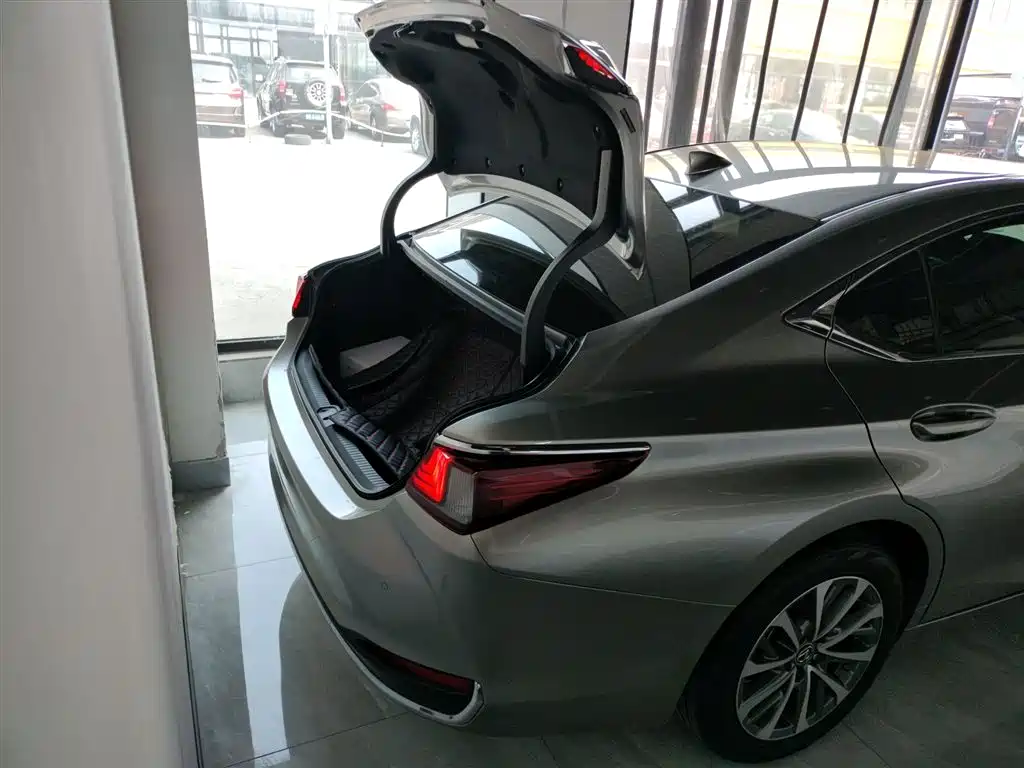 Lexus ES 2021 200 Excellence Edition фото 19