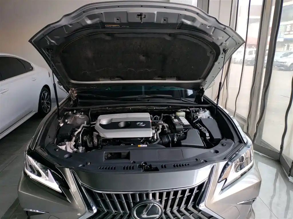 Lexus ES 2021 200 Excellence Edition фото 20