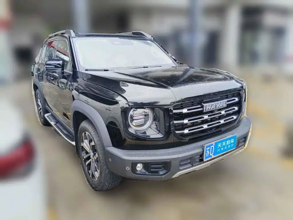 Фото 3 - Haval Dargo