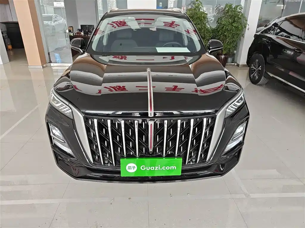 Hongqi HS5 2023 2.0T Flag Enjoy Pro Edition фото 3