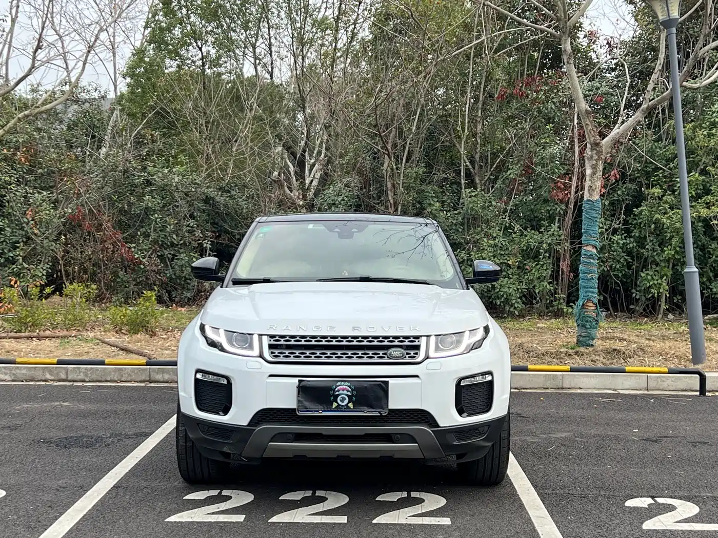 Land Rover Range Rover Evoque 2018 240PS SE Smart Edition фото 2