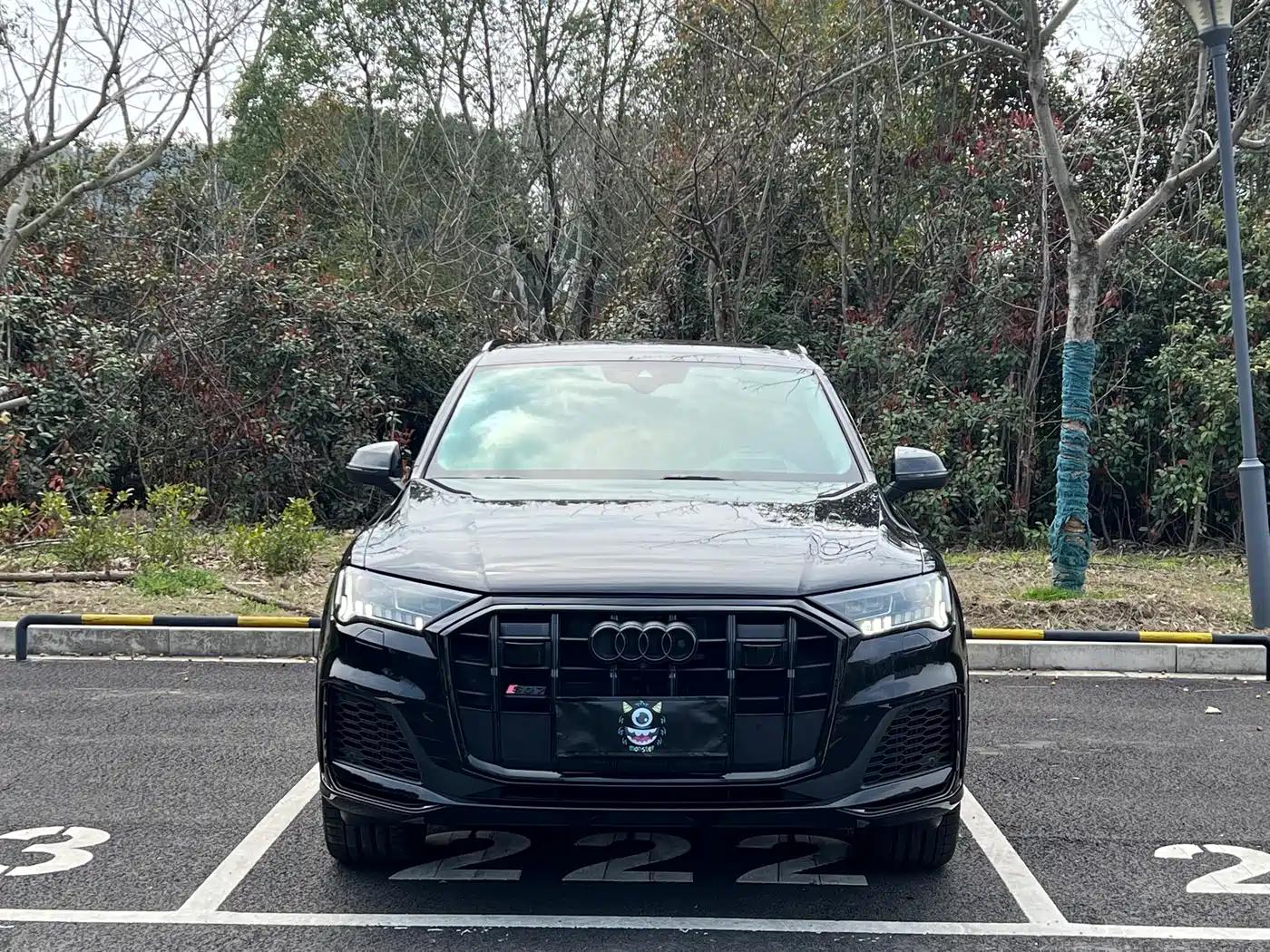 Audi Q7 2020 55 TFSI quattro S line Sport фото 2