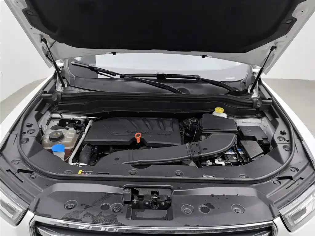 Haval H6 2019 1.5GDIT Automatic Champion Edition China VI фото 6