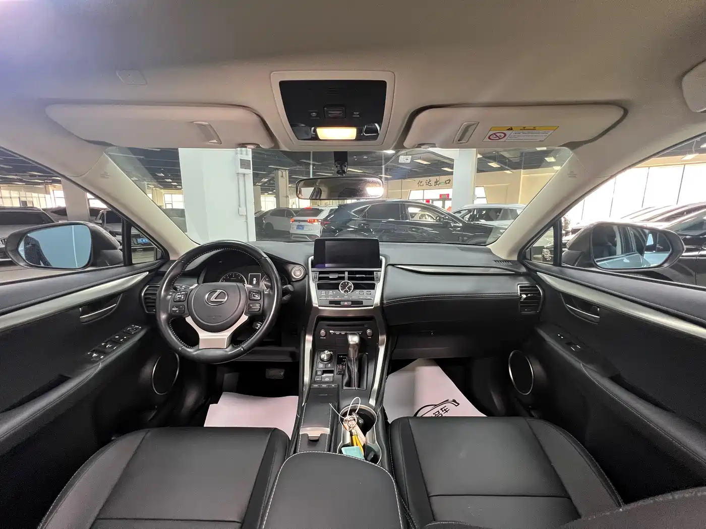 LEXUS NX
