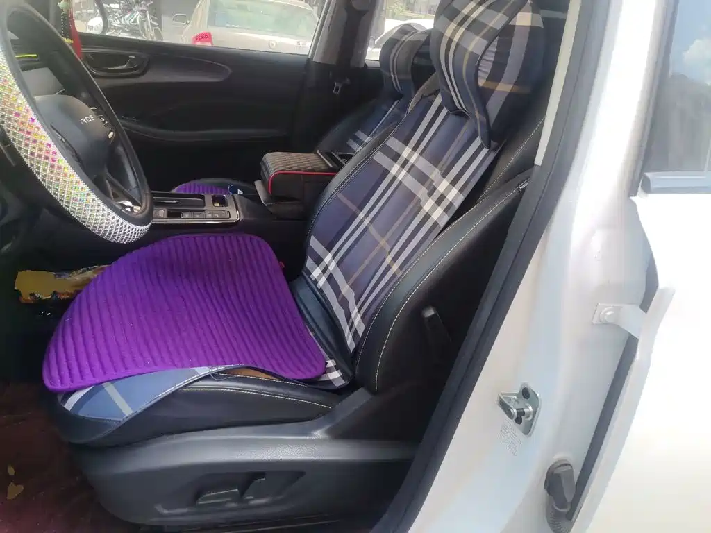 Roewe RX5 New Energy 2022 2021 Model ePLUS National Trend Ronglin Flagship Edition