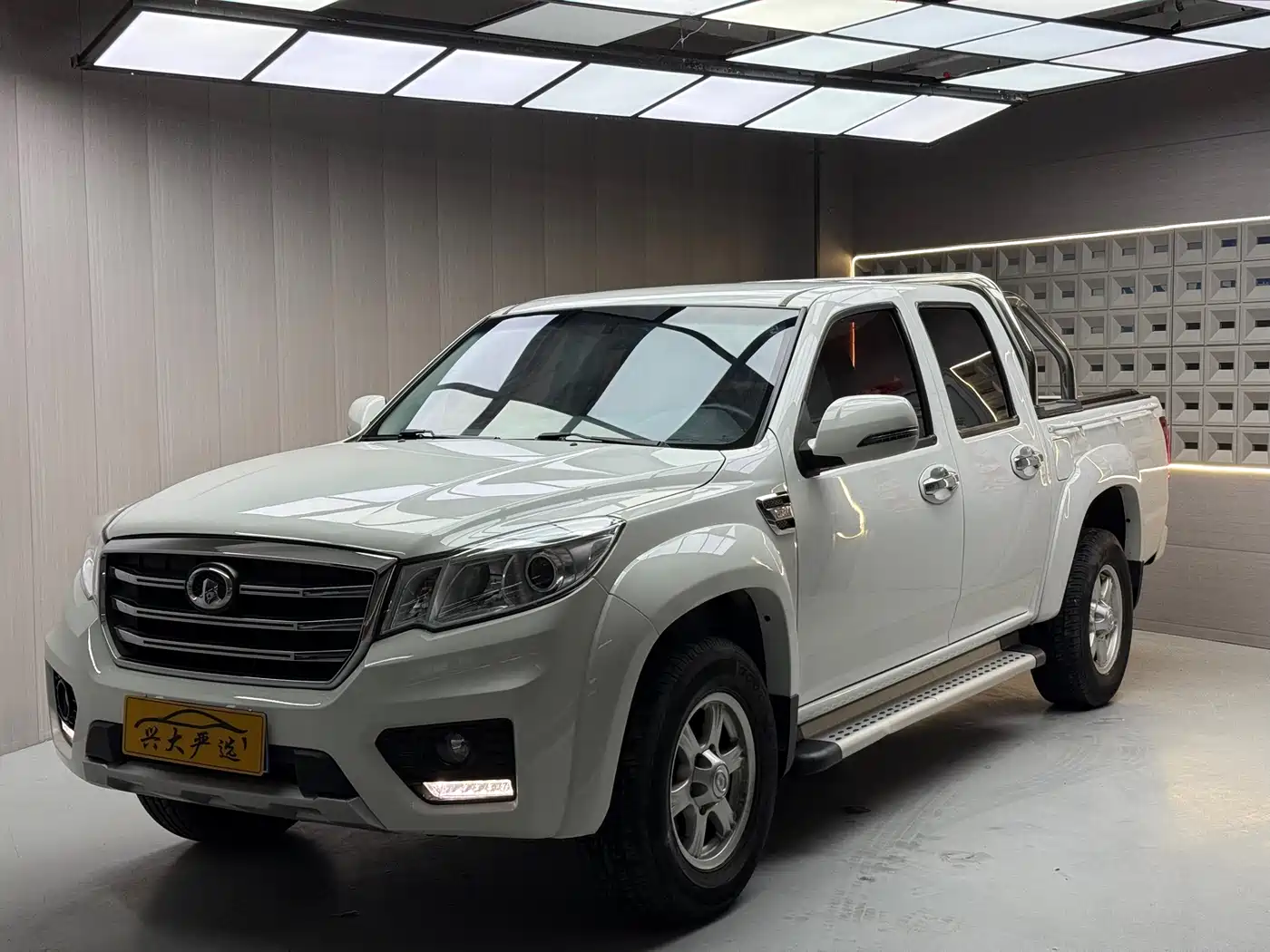 2019 Great Wall Fengjun 6