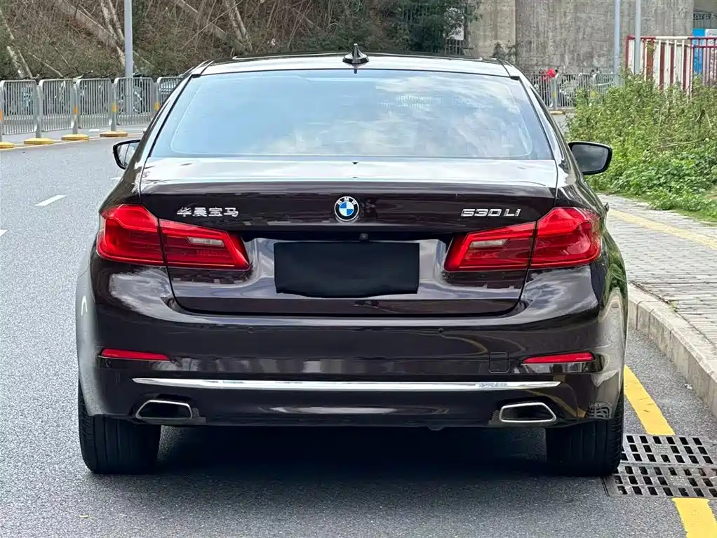 BMW 5 Series 2018 Facelift 530Li Leading Luxury Package фото 17